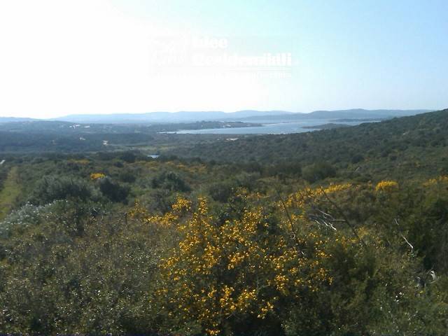  - foto 8