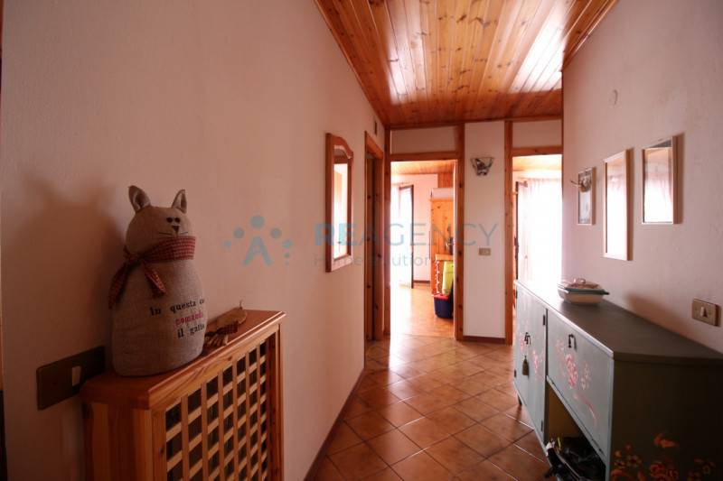 - foto 8