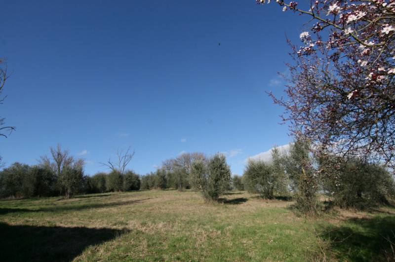  - foto 10