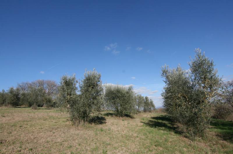  - foto 7