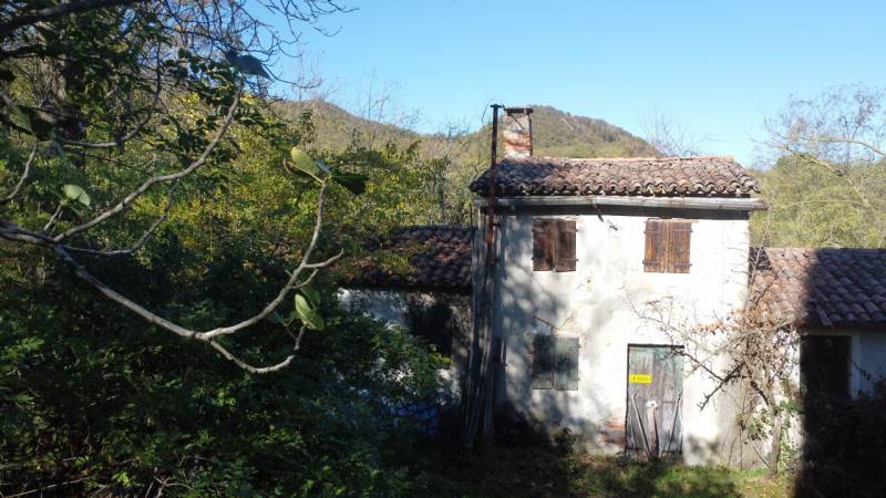 Rustico, Torreglia