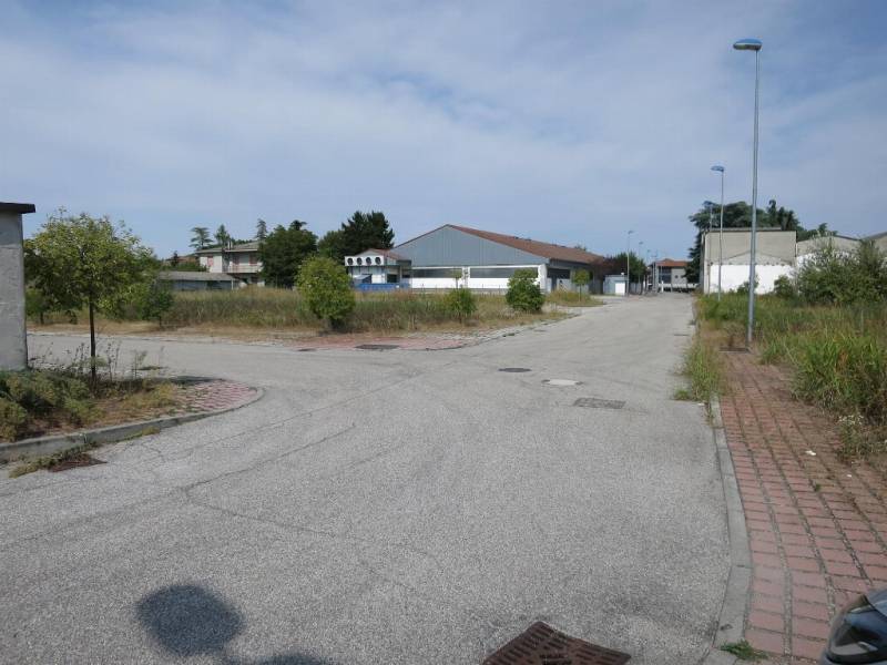 Altro Cerea, Cerea
