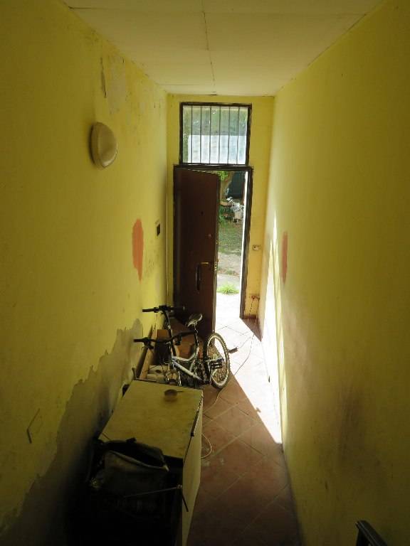  - foto 7