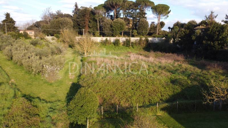 Terreno agricolo, Fauglia