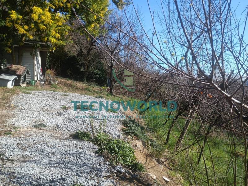 Altro Lugo di Vicenza, Lugo di Vicenza