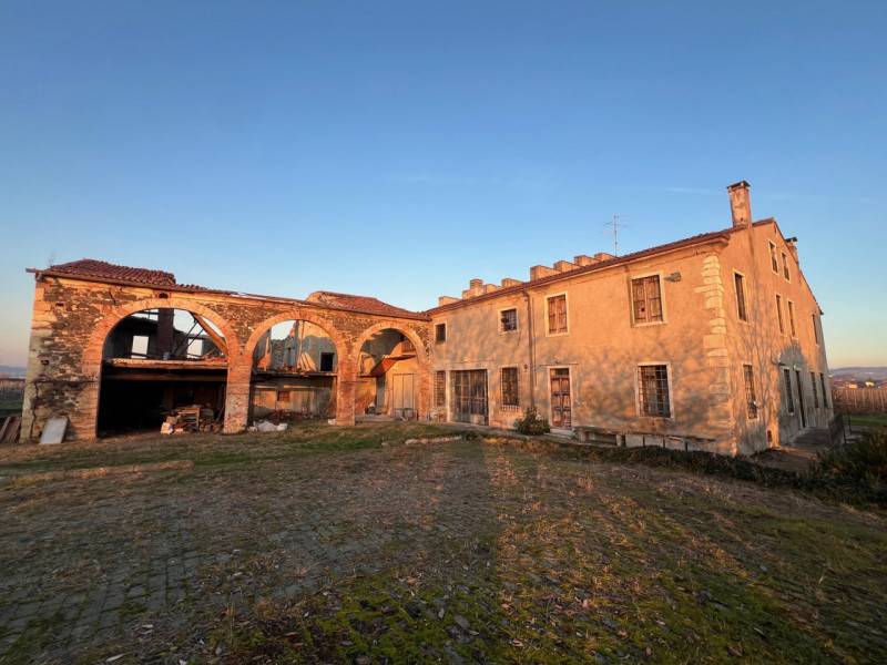 Rustico Almisano, Lonigo