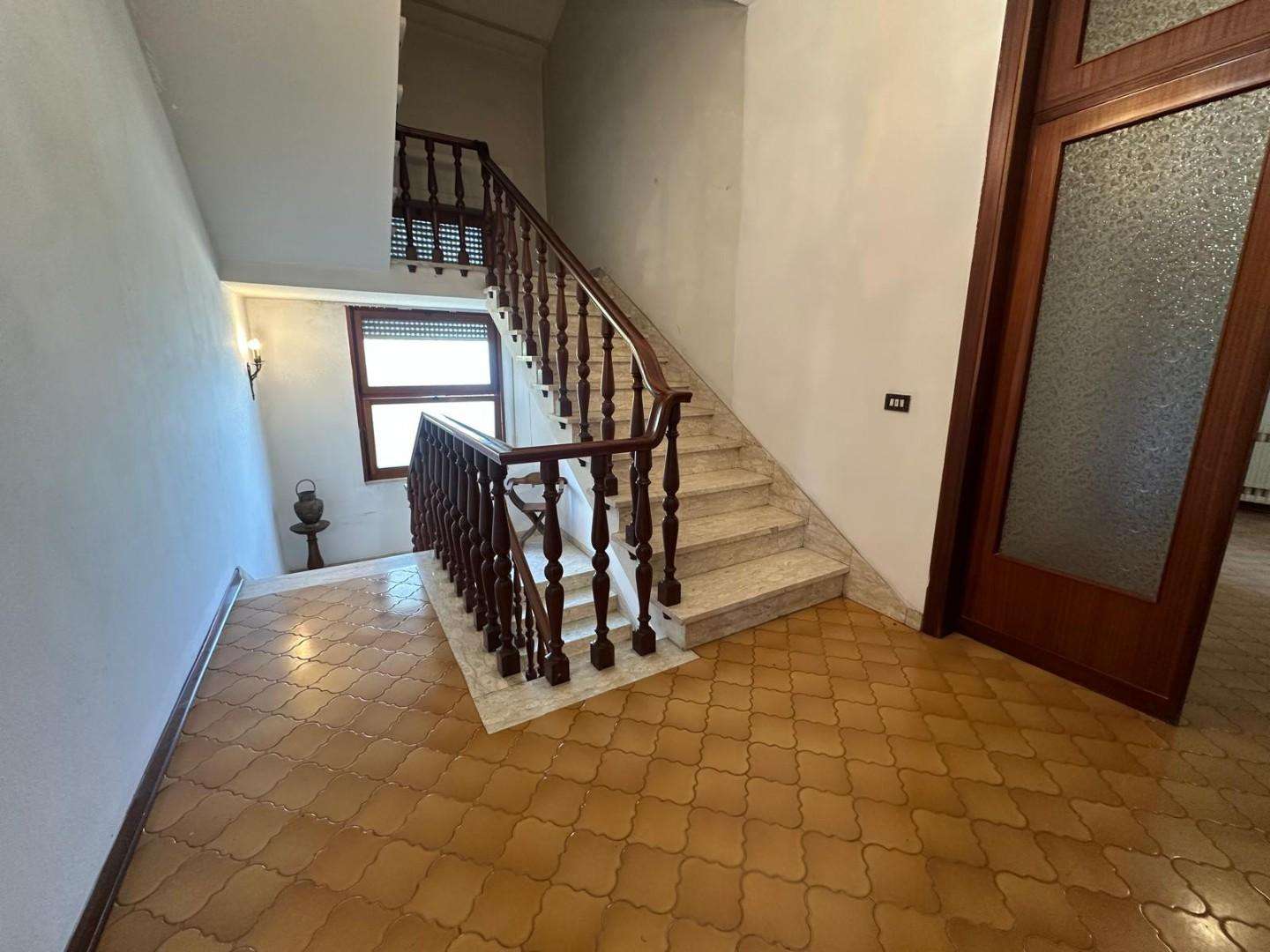  - foto 13
