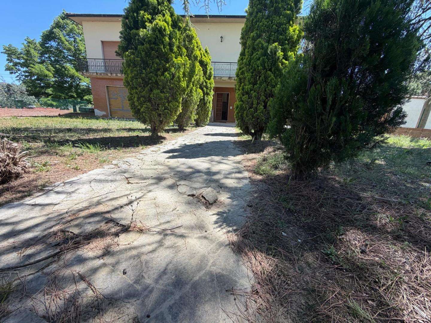  - foto 21