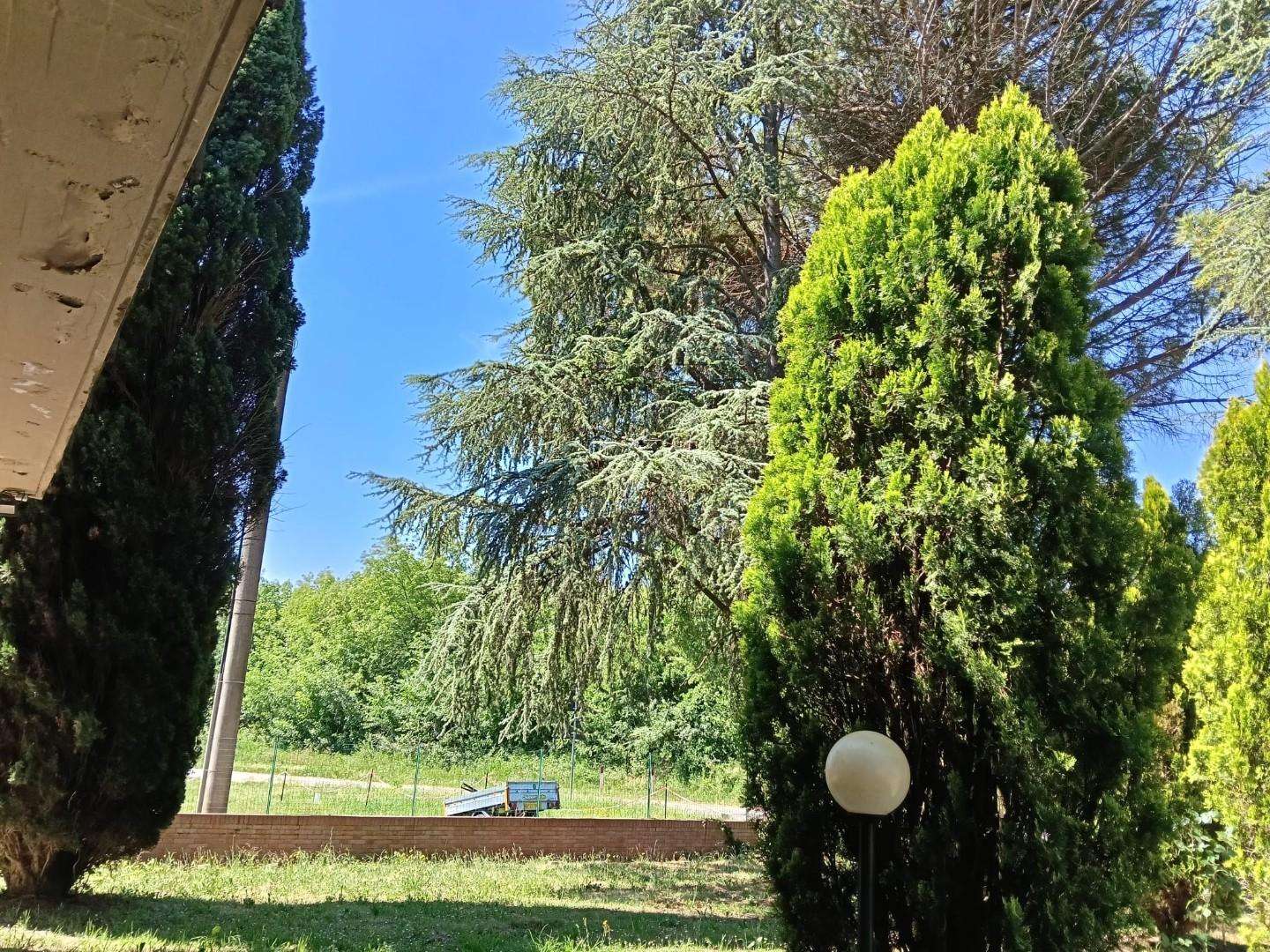  - foto 48