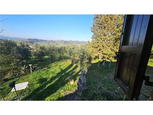  - foto 12