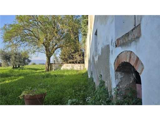  - foto 29