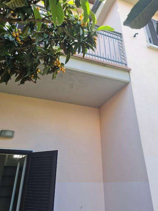  - foto 33