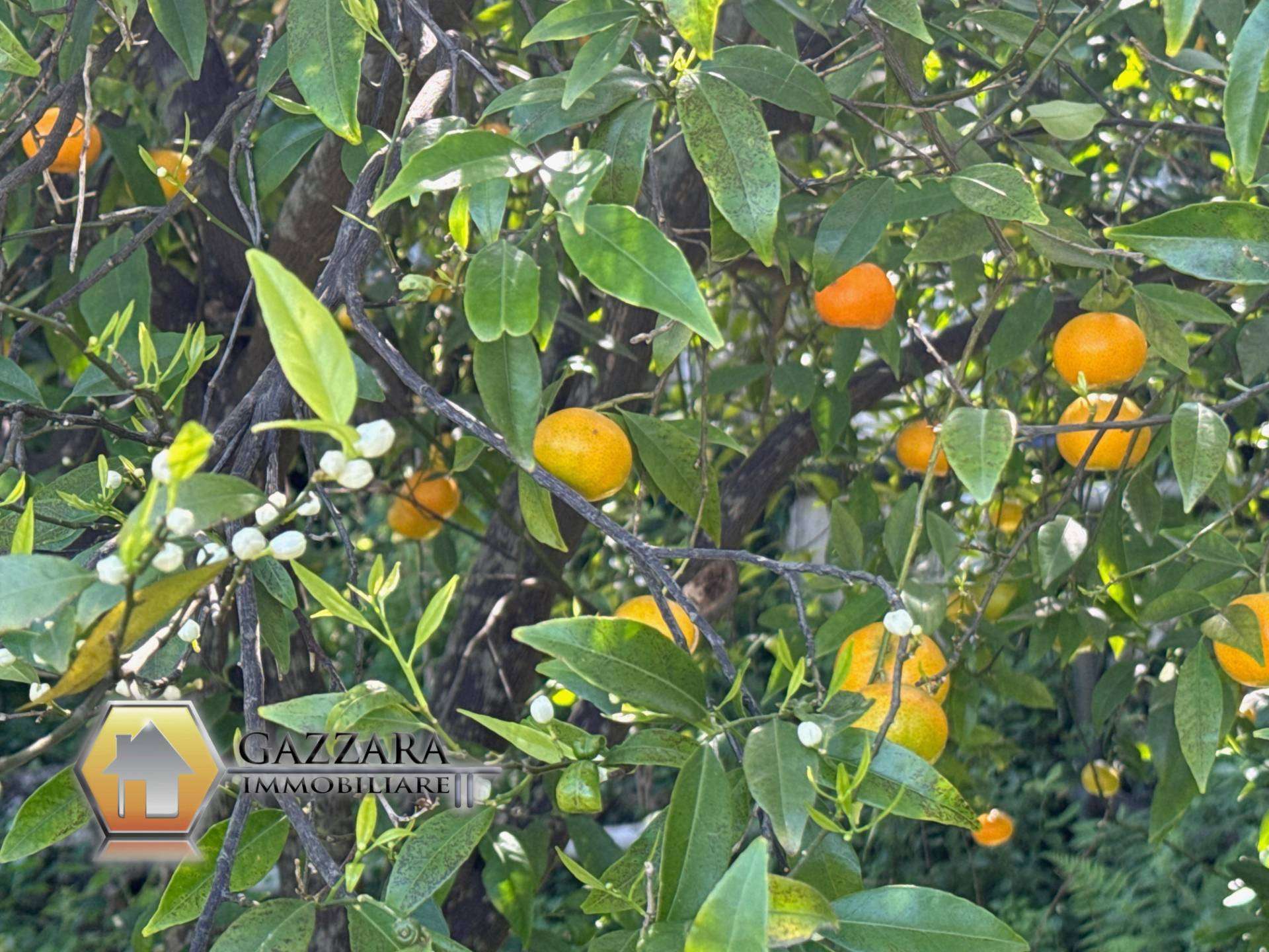  - foto 47