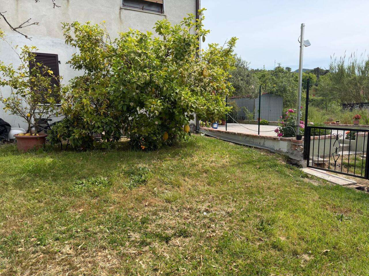  - foto 16
