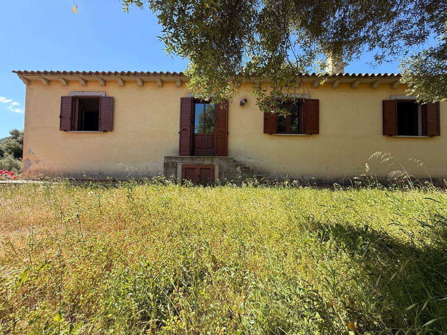  - foto 14