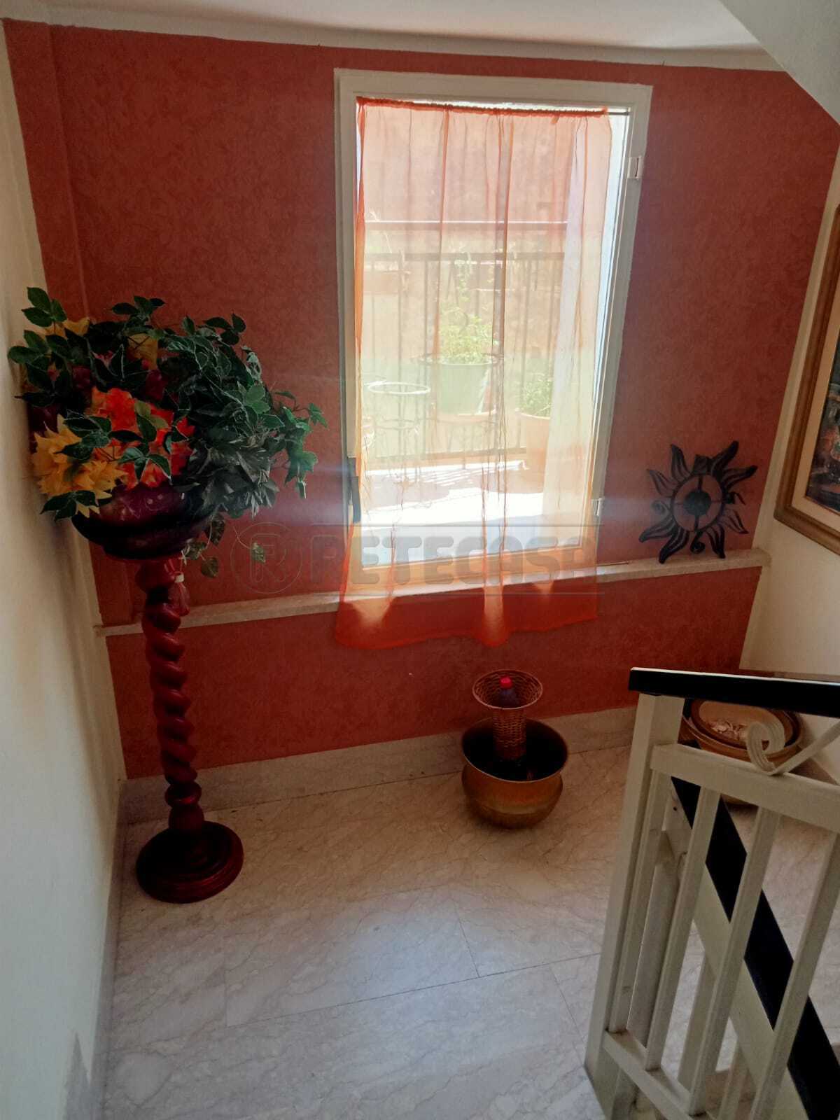  - foto 11