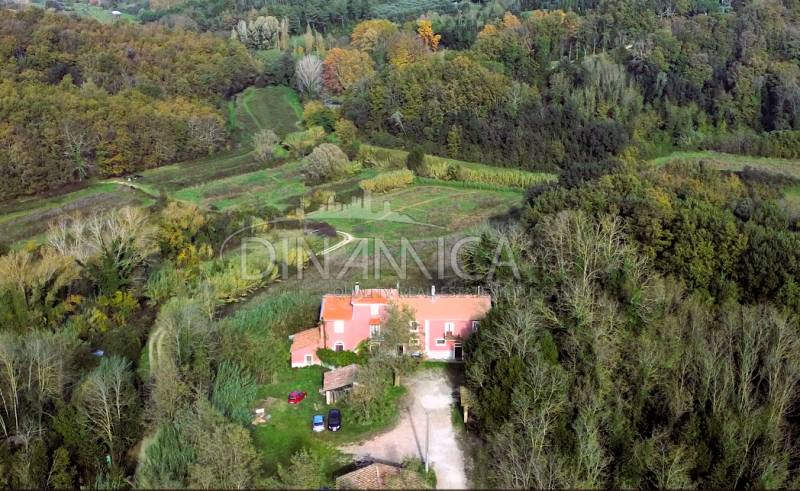 Rustico, Fauglia