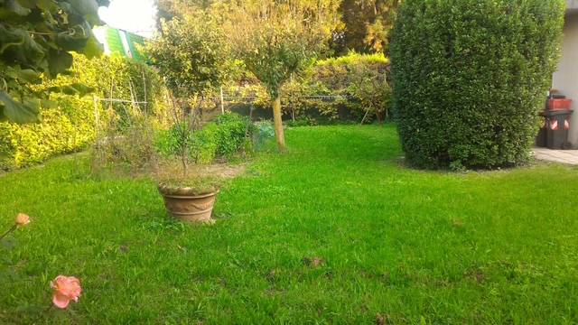  - foto 3