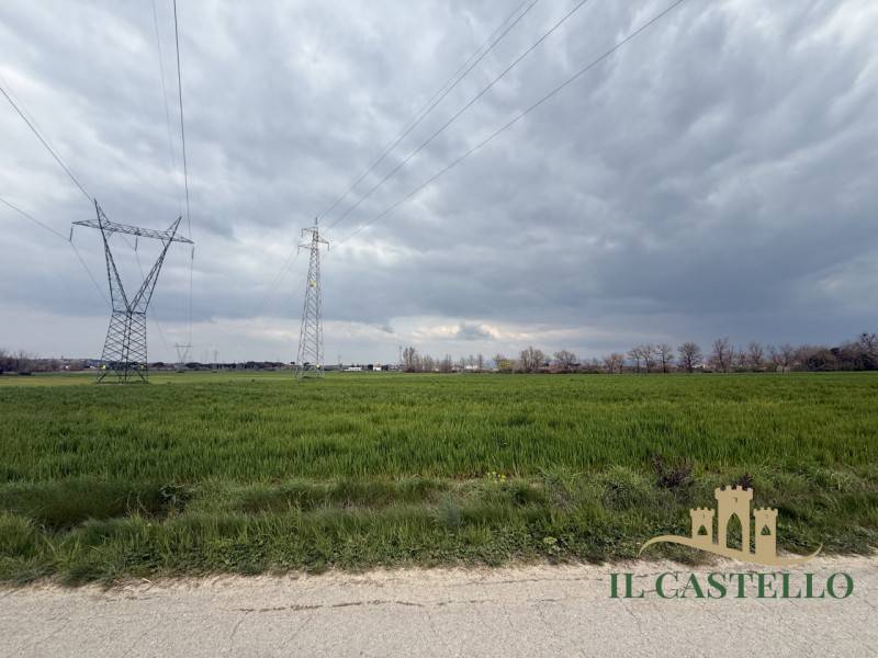 Terreno agricolo Macchie, Castiglione del Lago