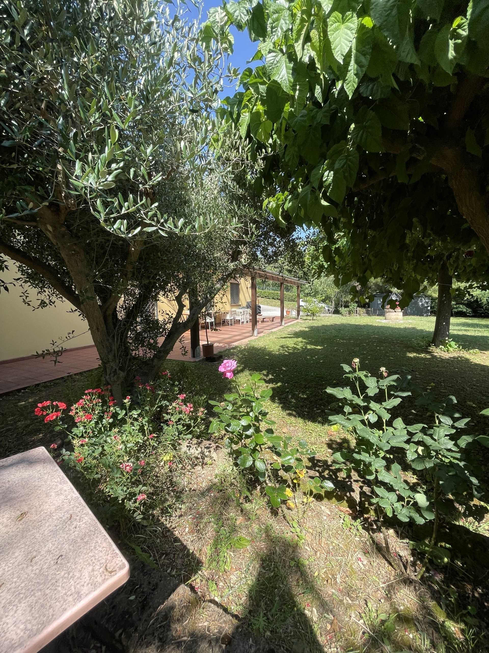  - foto 11