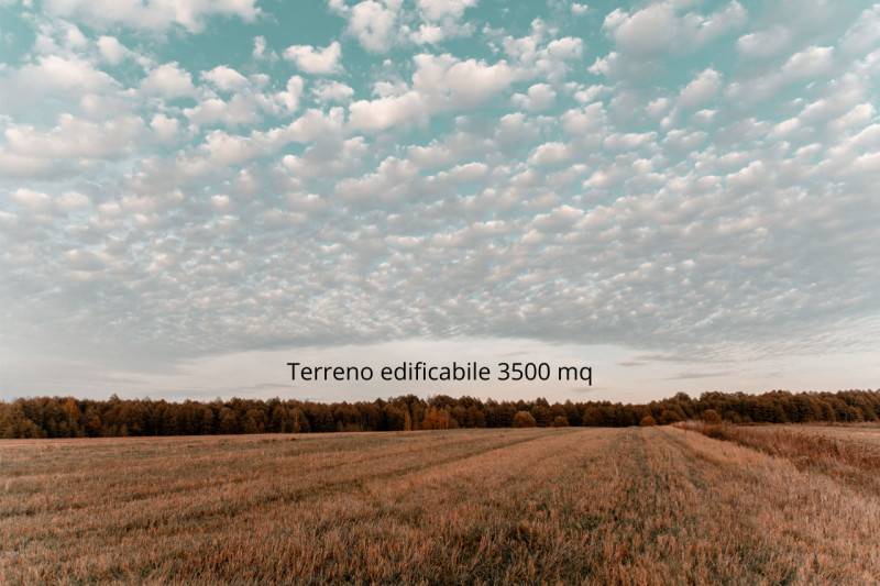 Terreno edificabile Musile di Piave, Musile di Piave