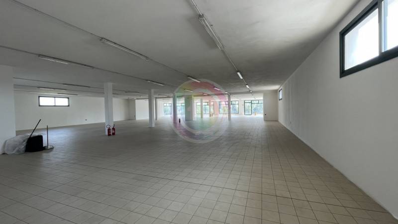  - foto 7