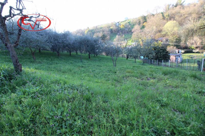 Terreno agricolo San Giovanni Valdarno, San Giovanni Valdarno