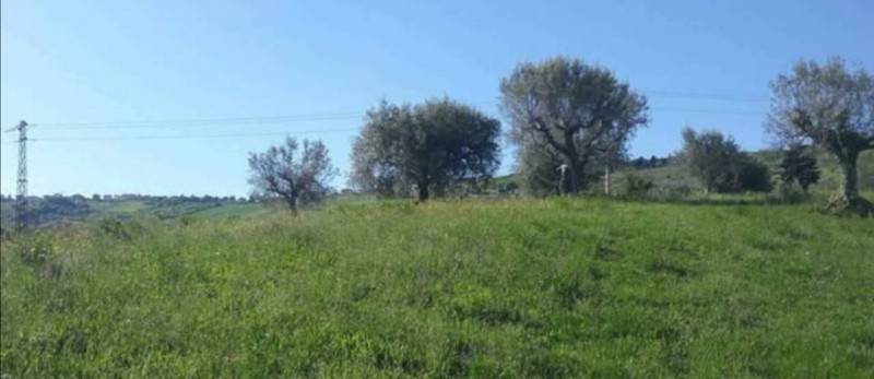 Terreno agricolo Ascoli Piceno, Ascoli Piceno