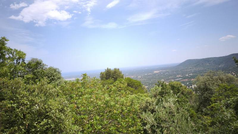 Rustico Laureto, Fasano