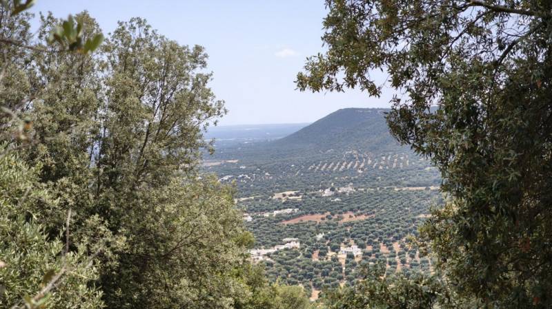  - foto 4