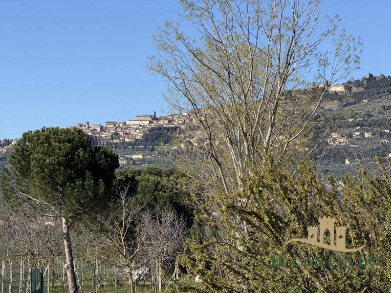 Casa Bi - Trifamiliare Ossaia, Cortona