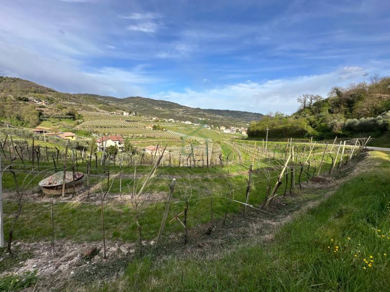 Terreno agricolo, Roncà