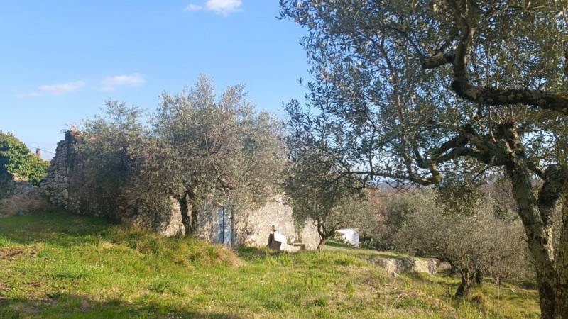 Rustico Santa Francesca, Veroli
