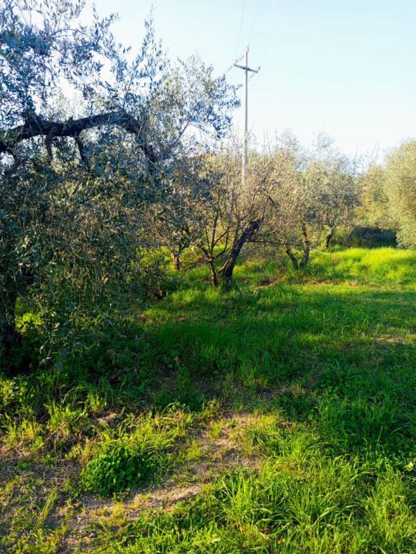 Altro Palombara Sabina, Palombara Sabina