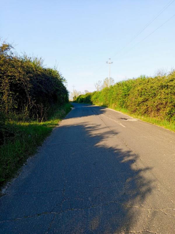  - foto 7