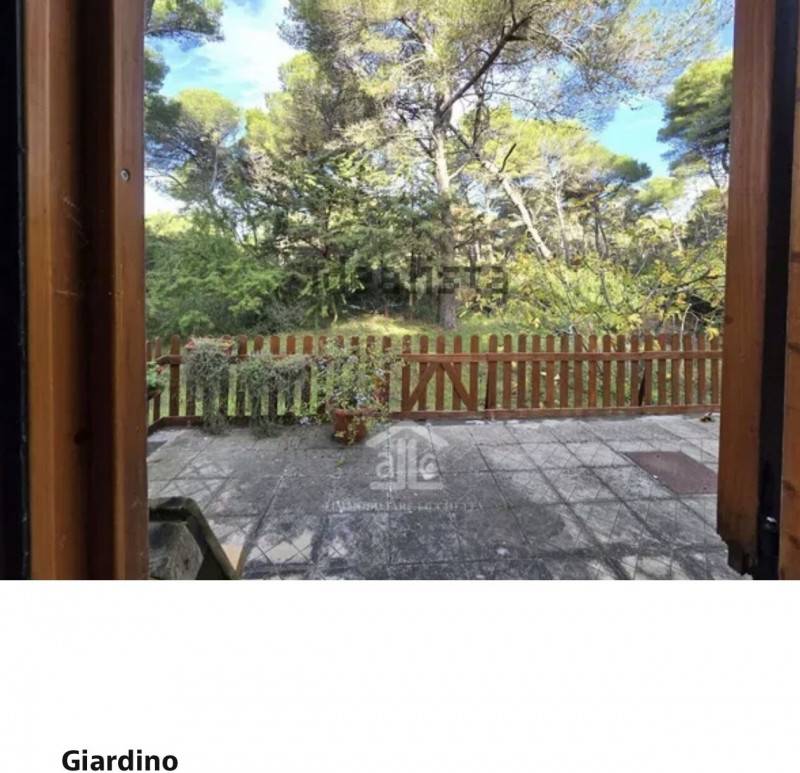  - foto 10