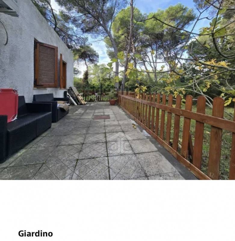  - foto 4