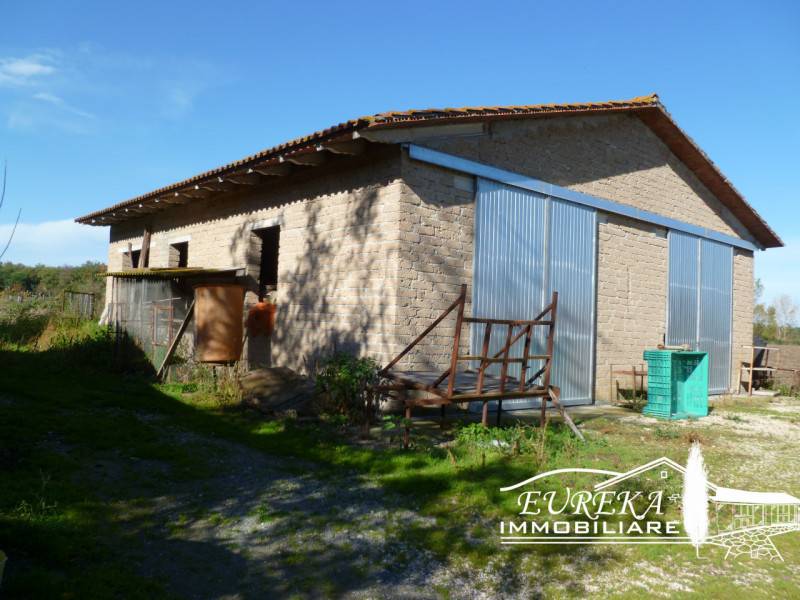 Terreno agricolo Castiglione del Lago, Castiglione del Lago