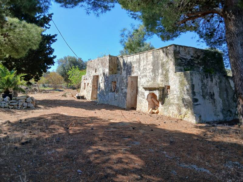  - foto 3