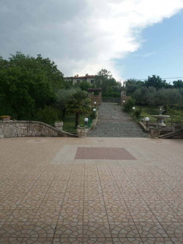  - foto 2