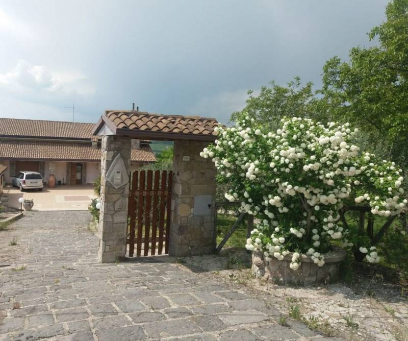  - foto 4