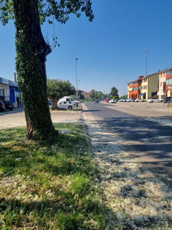 - foto 3