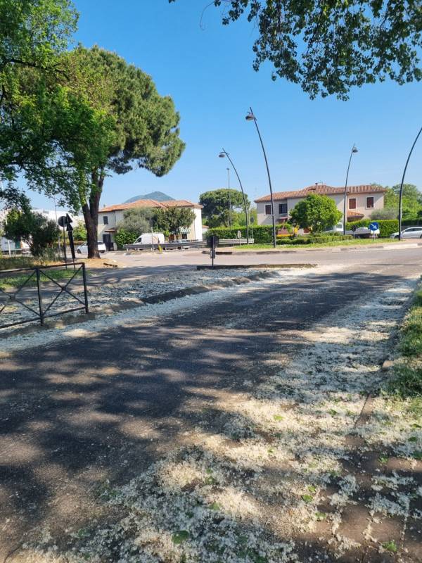  - foto 5