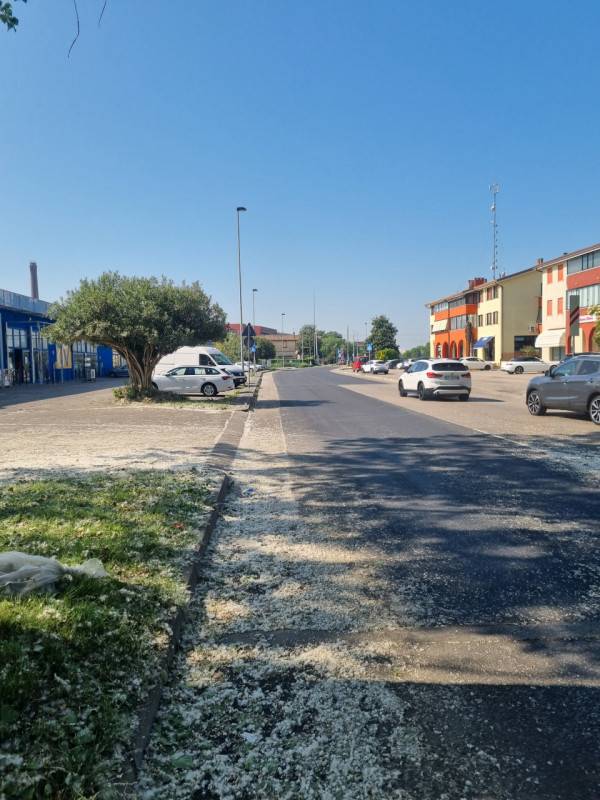  - foto 8