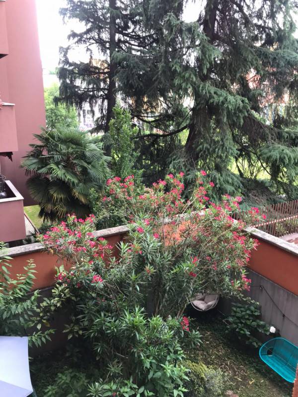  - foto 3