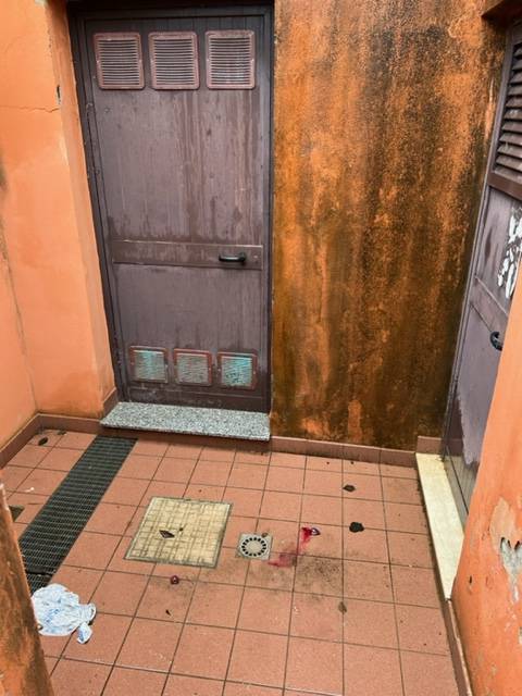  - foto 5