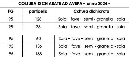 Altro Legnago, Legnago