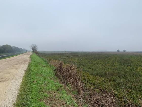  - foto 2