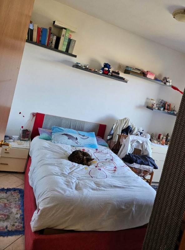  - foto 8