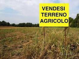 Terreno agricolo, Villanova di Camposampiero